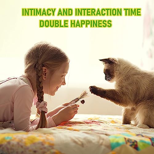 BAWAN Silvervine Sticks Cat Chew Toys for Indoor Cats Dental Care Teeth Cleaning, Natural Kitten & Cat Teething Toys for Health, Cat Chew Stick Suitable for All Breeds of Aggressive Chewers Cat - size: 5PCS