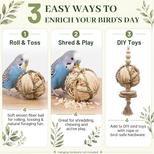 Natural Woven Grass Balls Small Pet Chew Toys, Handmade Wooden Bird Parrot Hamster Rabbit Foraging Balls, Safe Shred Toys for Parakeet Cockatiel Guinea Pig Chinchilla, Corn Silk Ball - style: Traditional