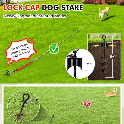 Snagle Paw Dog Tie Out Cable and Stake with Lock-Cap,Heavy Duty 30FT Dog Yard Leash & Stake with Shock Absorbing Bungee Tether,Rust Proof Ground Anchor for Yard, Beach, Camping & Outdoor,up to 360 Lbs - color: Black, 17in Stake (30ft Cable)