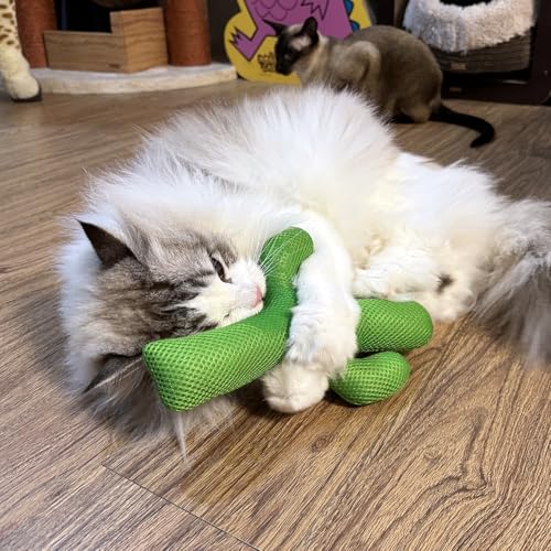 TTcat Large Cactus Silvervine Cat Toy Pillow, Durable Mesh Chew Toy for Indoor Cats, Interactive Kitten Teething Toy, Cat Kick Stuffed Toy for Bite, Play and Relax, 9.45 Inch Big Size Cat Kick Toy.