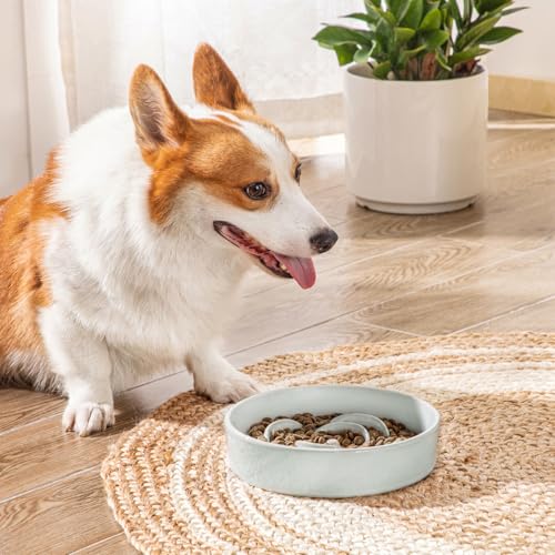 vancasso Slow Feeder Dog Bowl, 1.5 Cup Ceramic Puzzle Dish for Medium Breed - color: Grayish Cyan, size: M - 1.5 Cups