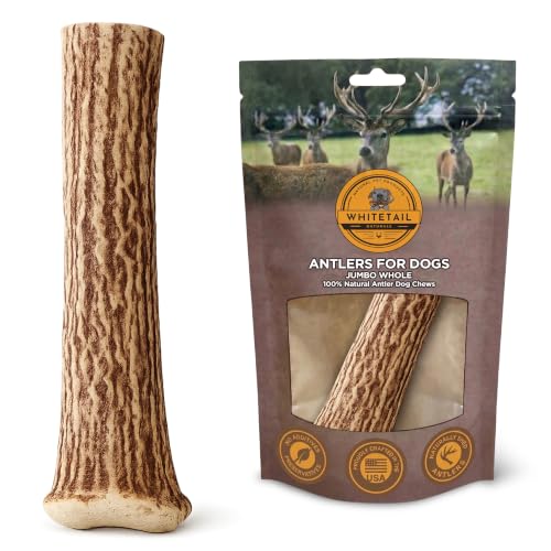 WhiteTail Naturals Monster XXL Whole Deer Antler for Giant Dogs - 7-8" - size: Jumbo (Pack of 1)
