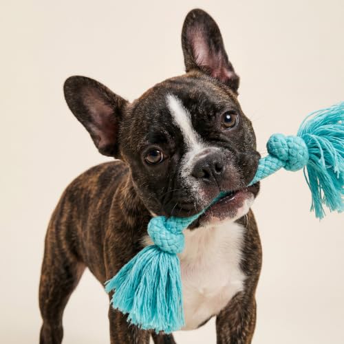 Playology Tug Rope Dog Toys for Small Dogs - Small, Peanut Butter Scent - size: Small, style: Peanut Butter