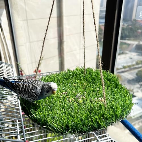 FlidRunest Large Bird Foraging Mat Toys, Natural Bird Grass Hammock Swing Toy with Hooks, Climbing Perch Hanging Toy for Parakeets, Parrot, Cockatiels, Bearded Dragon, Snake - color: Green