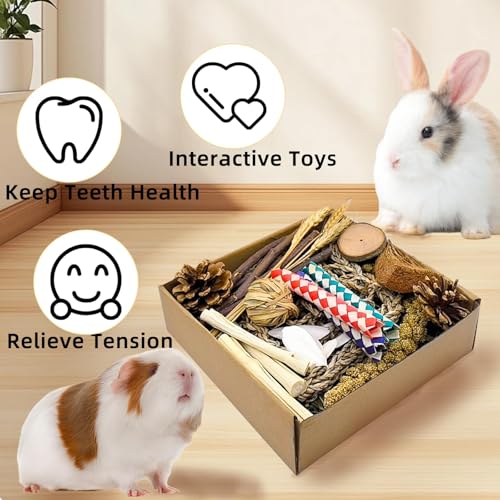 Hamster Chew Toys Box Guinea Pig Treats Bunny Toys for Teeth - size: Small