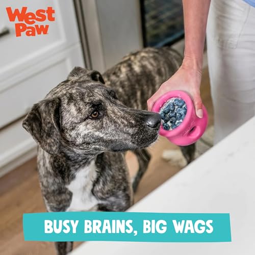 WEST PAW Zogoflex Toppl Interactive Treat Dispensing Puzzle Dog Toy for Mental Stimulation & Enrichment-Holds Kibble & Treats-Lickable, Freezable & Dishwasher Safe-Made in USA-XL-Geranium - color: Geranium, size: X-Large