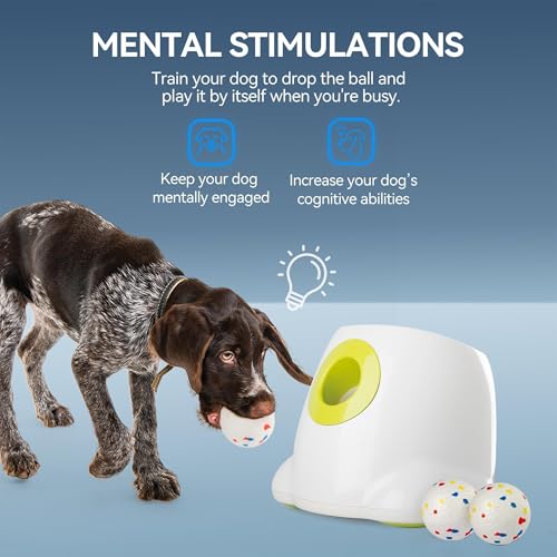 All for Paws Automatic Ball Launcher for Dogs, Interactive Pet ETPU Balls Outdoor Thrower for Medium to Large Dogs, Ball Throwing Machine for Dogs, 6 ETPU Balls Included(2.5"), Rechargeable Battery - size: 2.5"ball launcher