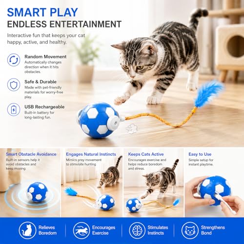 Cat Enrichment Toy, Chase Toy for Bored Indoor Adult Cats - color: C -Blue