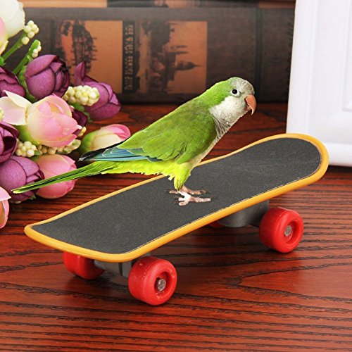Hypeety Bird Toys Mini Skateboard Intelligence Training Toy for Parrots - color: Mini Skateboard
