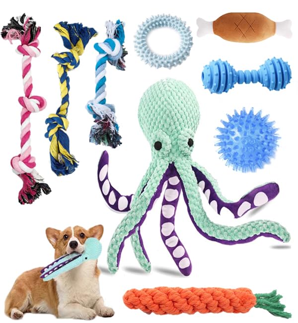 Teething Toys for Large, Medium, and Small Dogs – 9-Piece Set