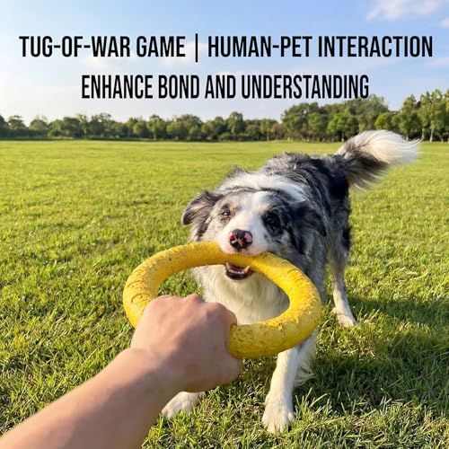 Dog Toys, Dog Chew Toys for Aggressive Chewers,Flying Discs for Medium/Large Breeds. Floating Dog Ring Toys for Throwing, Catching, Grabbing. (Large) - size: Large
