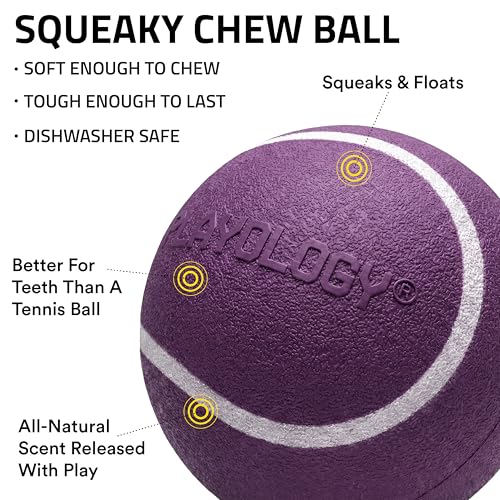 Playology Squeaky Chew Ball Dog Toy - Jumbo, Bacon Scent - size: Jumbo, style: Bacon