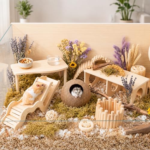 Novabright 5 Pcs Hamster Wooden Platform Set Including Hideout Climbing Tunnel Platform Coconut Hut Hamster Bed Flexible Fence Bridge Wooden House Cage Accessories for Small Animal Dwarf Syrian - style: Hideout Tunnel Set