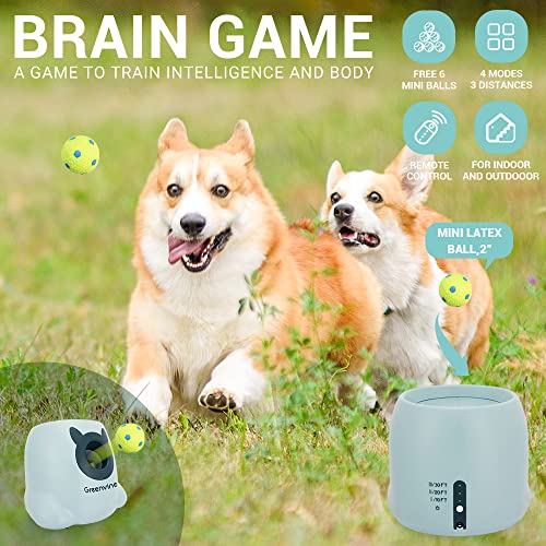 Automatic Dog Ball Launcher Interactive Ball Thrower Fetch it Machine for Dogs with 6 Durable High Elasticity Latex Balls Included