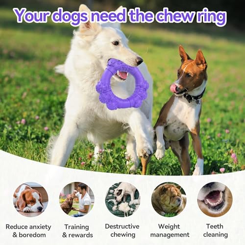 Indestructible Dog Chew Toys for Aggressive Chewers, Super Chewer Toys for Medium Large Dogs, Interactive Ring Toy, Heavy Duty Teething Toys - color: Purple