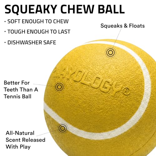Playology Squeaky Chew Ball Dog Toy - Small, Apple Cider Scent, 3-Pack - size: Small (VALUE 3-Pack), style: Apple Cider