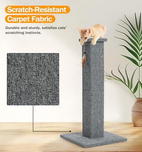 Made4Pets Cat Scratching Post for Indoor Cats, Carpet Cat Scratcher, 32" - color: Grey-Carpet