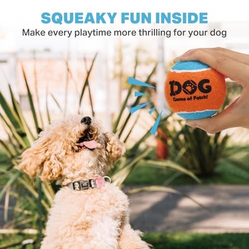 AMA SPORT Squeaky Tennis Balls for Dogs 2.0" Small Dog Tennis Balls for Throwing and Fetching Dog Toys for Training, Exercise, High Bouncing 6 Pack (Multicolor A) - color: Multicolor A, size: Small