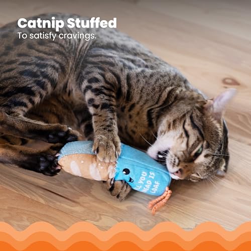 Catstages Loaf Kicker Interactive Cat Toy with Catnip & Dental Mesh, 6.5" - color: Loaf Kicker