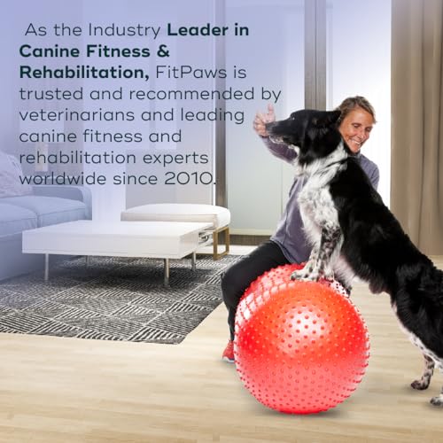 FitPaws® Trax Peanut, Dog Training Rehabilitation Exercise Equipment, 50 cm