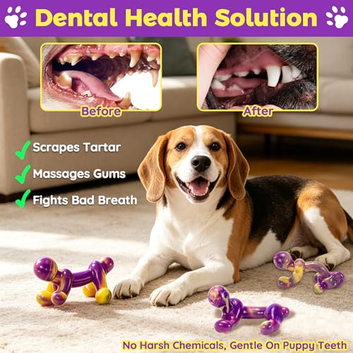 LECHONG 3 Pack Indestructible Dog Toys for Aggressive Chewers 22-66 lbs
