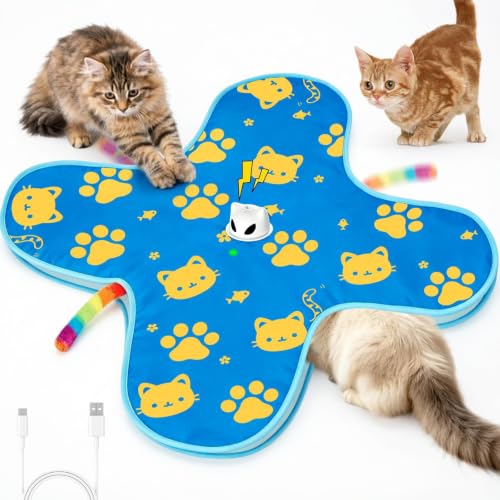 Interactive Cat Toys for Indoor Cats, Rechargeable Hide & Seek Toy - color: Blue