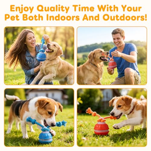 2 Mixed Zealburst Dog Toy, Interactive Dog Toys, 360° Smart Automatic Rolling Moving, Upgraded Motion Activated Squeaky Cat Balls, USB Rechargeable Smart Motion Pet Ball for Bored Pet Cats Dogs