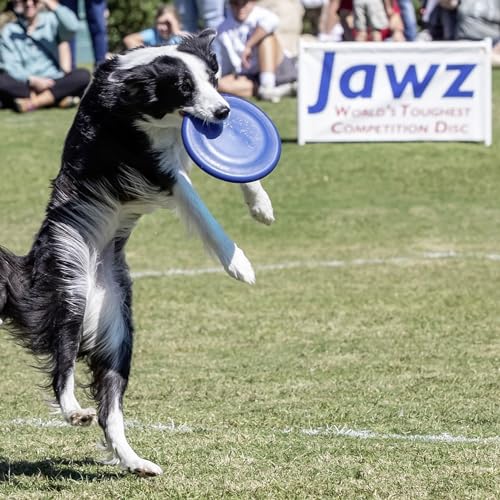 Hyperflite K-10 Jawz Puncture Resistant Dog Flying Disc, Medium-Large - color: Blue
