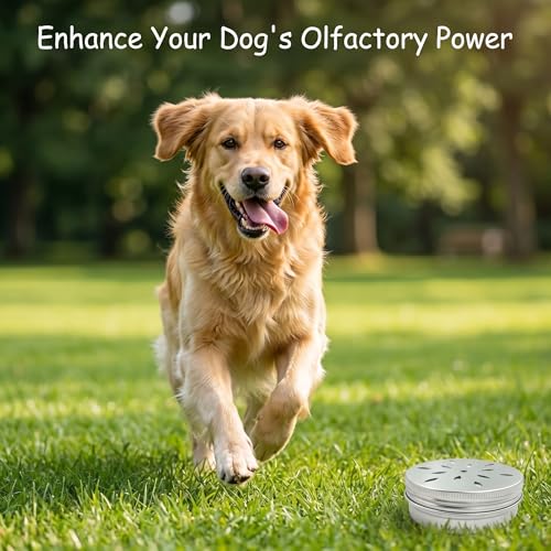 Dog Scent Training Kit, 5PCS Professional Nosework Tins with Lid, Vented Odor Search Boxesfor Work Dogs Training