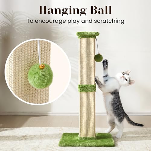 Fansafurn Tall Cat Scratching Post, 32'' Heavy Duty and Thick Scratching Post, Scratching Post for Adult Cats, Thick Sisal Rope with Hanging Ball, Green - color: Green, size: 32''