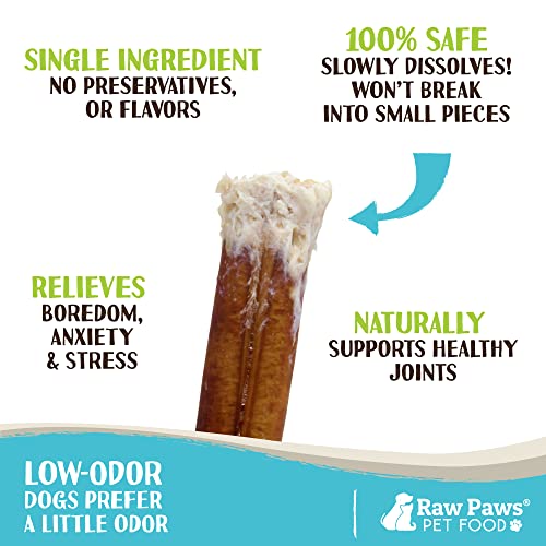 Raw Paws Thin Bully Sticks for Small Dogs, 6-Inch (5-Count) - Low Odor - size: 5 Count (Pack of 1)