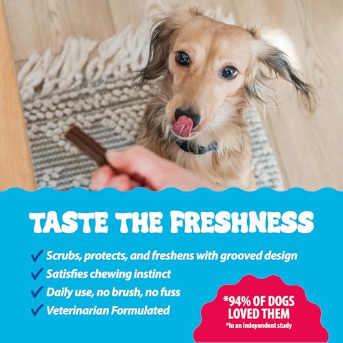 Dental Fresh Dental Sticks for Extra Small Dogs up to 10 lb, 64 Count - style: X-Small Dogs
