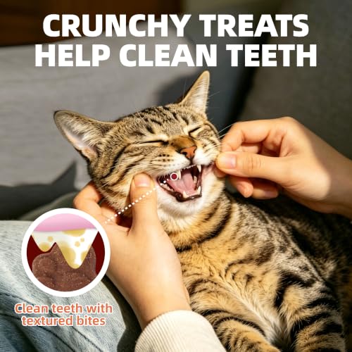 Just Try Hairball Support Healthy Cat Training Treats - size: 45 OZ