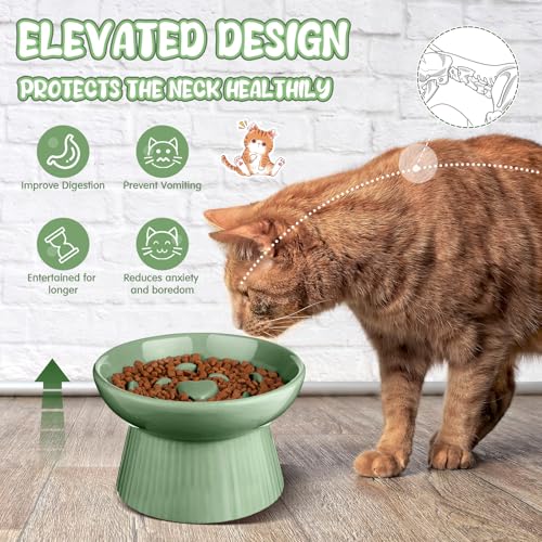Tioncy 2 Pcs Ceramic Elevated Slow Feeder Cat Bowl, Sage Green - color: Sage Green