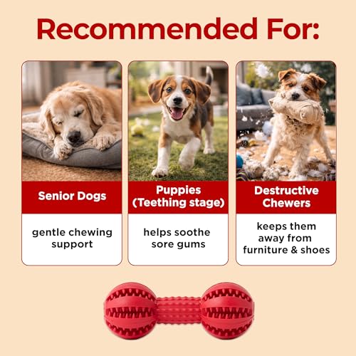 JAYU PET Dog Chew Toy Toothbrush for Small & Medium Dogs