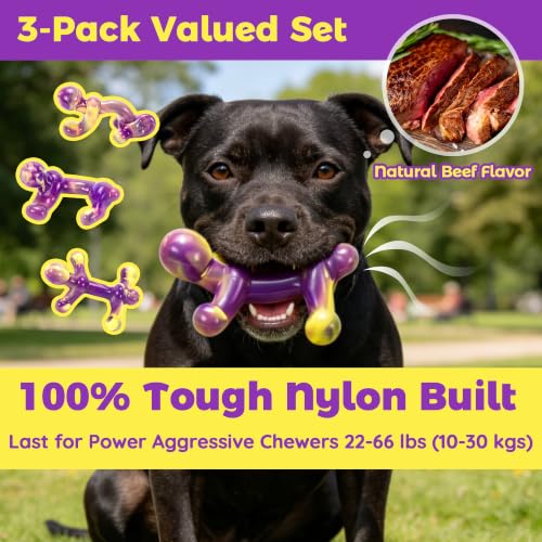 LECHONG 3 Pack Indestructible Dog Toys for Aggressive Chewers 22-66 lbs