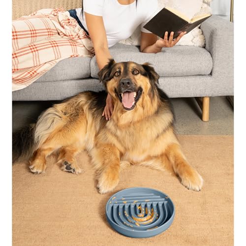 Slow Feeder Dog Bowl - Silicone Dog Bowl, Large, 9.5" x 1.5" - Ocean - color: Ocean - Rainbow Design, size: Large (9.5” Across and 1.5” Tall)