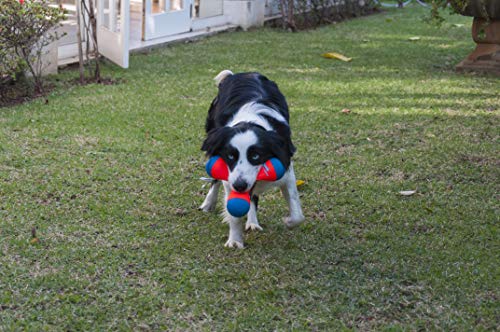 Chuckit! Triangular Fetch & Tug Dog Toy (Pack of 12) - size: Medium (Pack of 12), style: Tri-Bumper