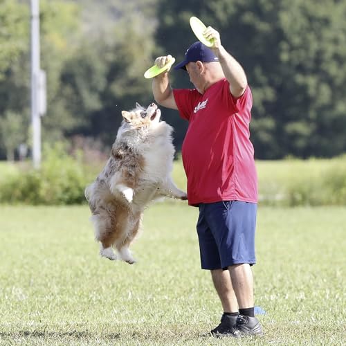 Hyperflite Pup Jawz Puncture Resistant Dog Flying Disc, Small Dogs - color: Yellow