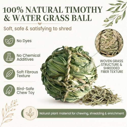 Natural Woven Grass Balls Small Pet Chew Toys, Handmade Wooden Bird Parrot Hamster Rabbit Foraging Balls, Safe Shred Toys for Parakeet Cockatiel Guinea Pig Chinchilla, Timothy Grass Ball - style: Novelty