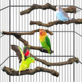 kathson 5pcs Natural Parrot Perch for Cage Wooden Bird Perches Grape Bird Stick Parakeet Climbing Standing Branches Toy Chewable Cage Accessories for Small Budgies Cockatiels Lovebirds Budgies