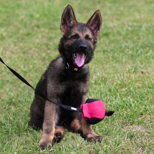 Dingo Gear Dog Ball with Long Handle, French Linen, Pink 29 in - color: Pink-Black