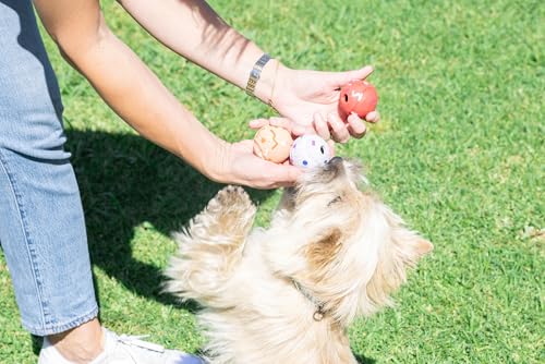 Chuckit! Birthday Fetch Medley Dog Balls, Small (2"), Pack of 3 – Bouncy Birthday‑Scented Rubber Fetch Balls for Dogs Up to 20 lb – Durable Small Dog Toys for Active Play - size: Small 2"