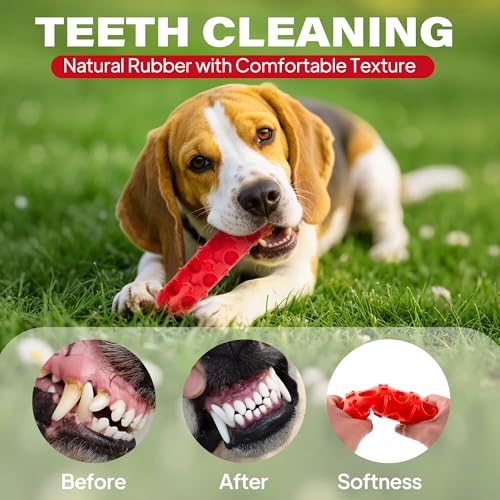 Fida 2-in-1 Puppy Teething Toys, Natural Rubber Chew Toys for Dogs, Chilly - color: Red Chilly