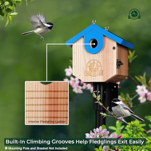 SISTERBIRD Wren Bird Houses for Outside, Bird House Warming Gifts, Blue - color: Blue