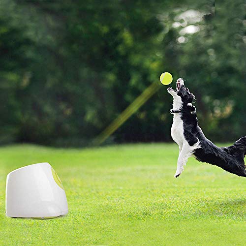 ALL FOR PAWS AFP Dog Ball Launcher with Ball Refills