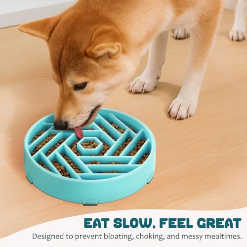WHIPPY Slow Feeder Dog Bowl, Puzzle Maze Design to Slow Down Eating, 3-Cup Capacity, Anti-Gulping Food Bowl for Medium & Large Dogs,Sky Blue - color: sky blue