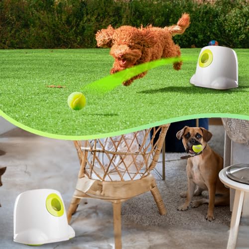 ALL FOR PAWS Automatic Dog Ball Launcher, Interactive Fetch Toy for Small to Medium Dogs, Pet Thrower Machine for Indoor & Outdoor Play, 3 Pcs 2-Inch Balls Included - size: 2-inch ball launcher