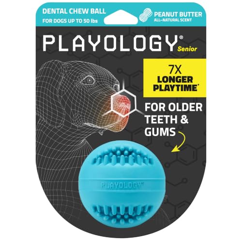 Playology Dental Chew Ball Toy for Senior Dogs- Medium, Peanut Butter Scent - size: Medium Chew Ball, style: Peanut Butter
