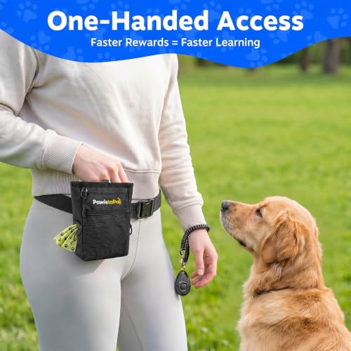 Dog Treat Pouch for Pet Training, One-Hand Magnetic Closure, Hands-Free Treat Bag with Silicone Liner, No Mess No Smell - color: Obsidian Black